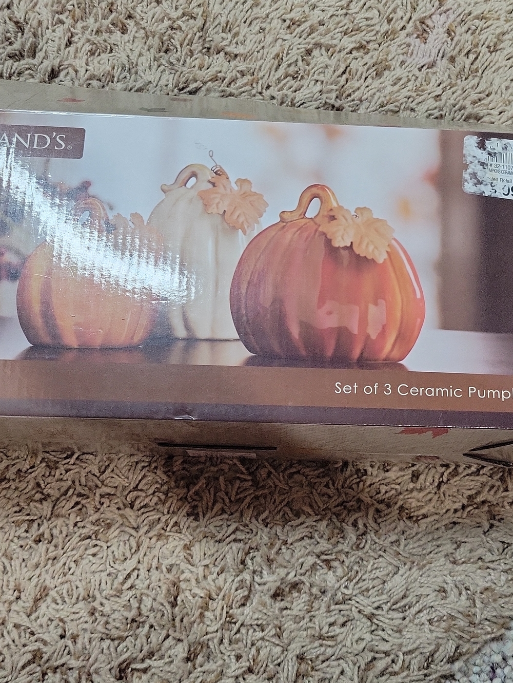 Ceramic Pumpkin Set of 3 - Fall Decorative Accents